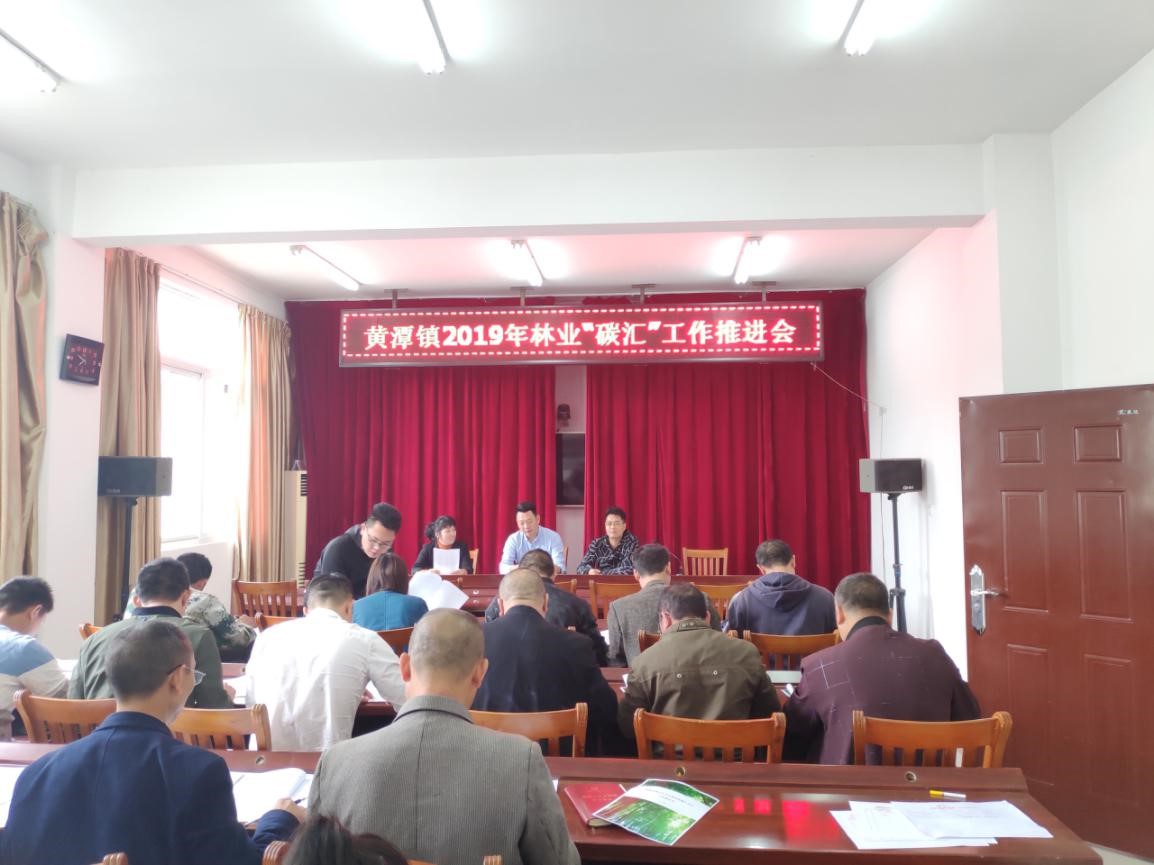 福建金森踐行”綠水青山就是金山銀山“  推進(jìn)毛竹林經(jīng)營碳匯項(xiàng)目開發(fā) 福建金森踐行”綠水青山就是金山銀山“  推進(jìn)毛竹林經(jīng)營碳匯項(xiàng)目開發(fā)