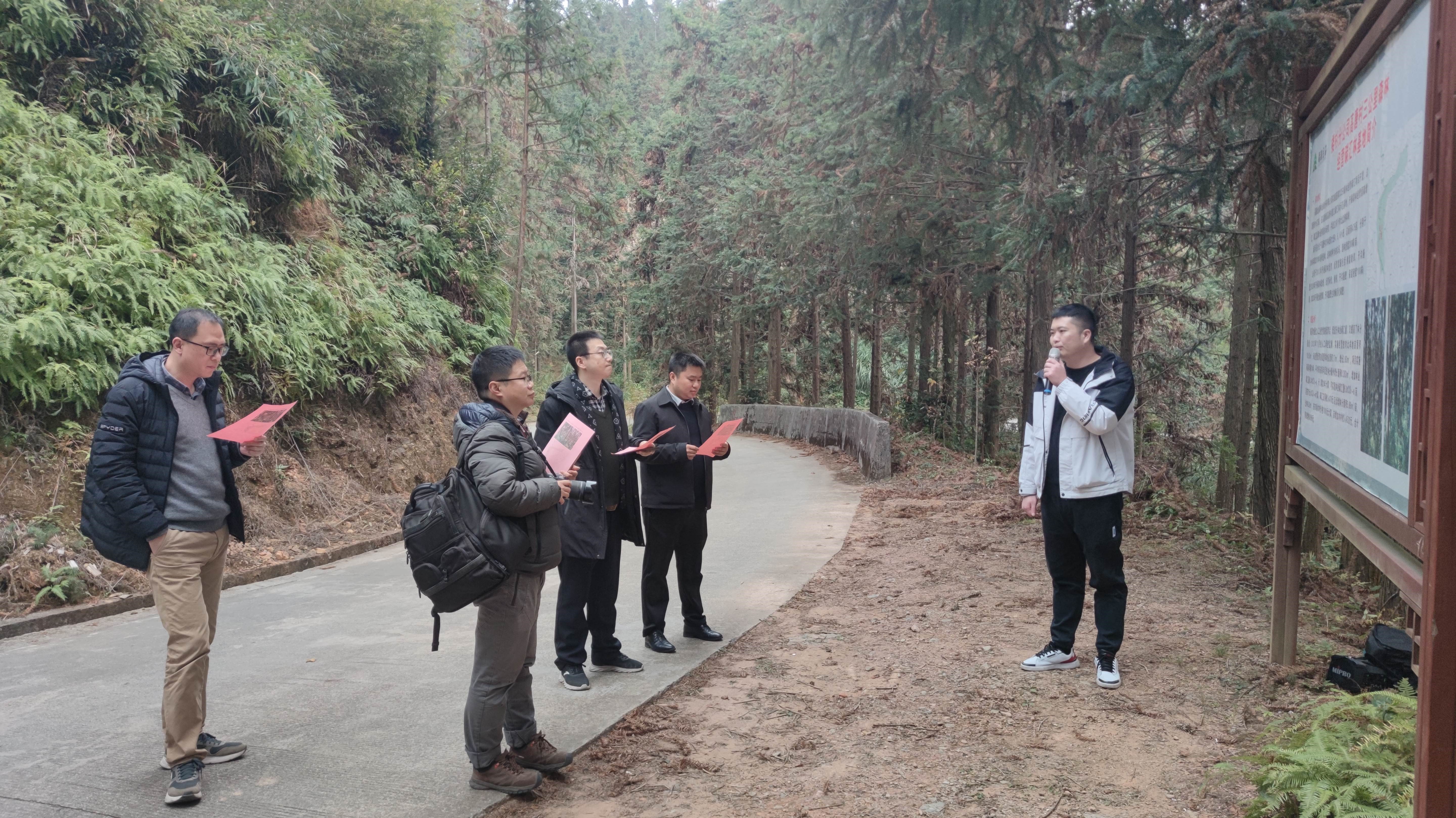 福建金森與上海園林集團——強強交流促合作，共繪林改新藍圖