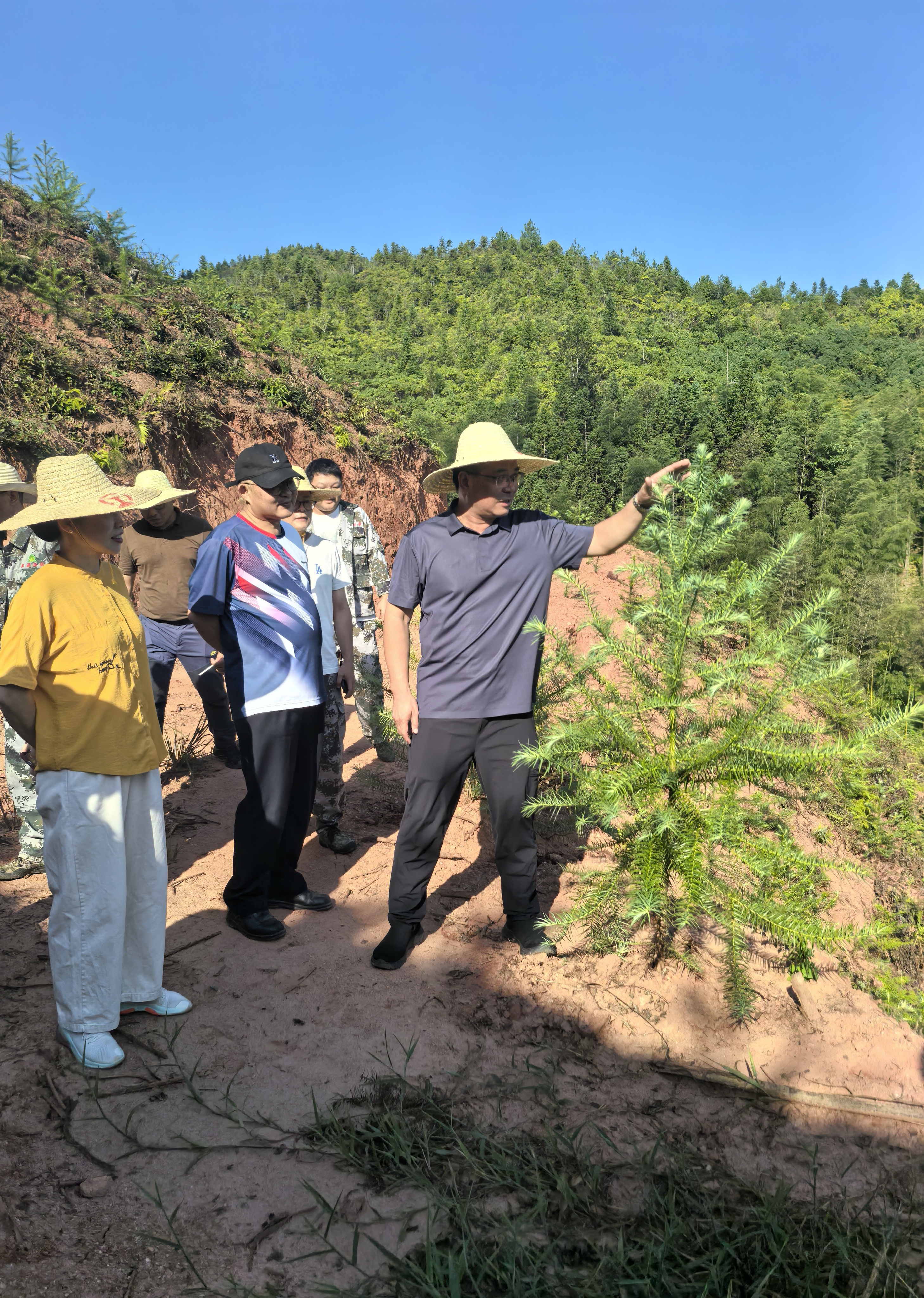 福建省林科院副院長(zhǎng)鄭仁華一行蒞臨福建金森 指導(dǎo)森林資源培育工作 福建省林科院副院長(zhǎng)鄭仁華一行蒞臨福建金森 指導(dǎo)森林資源培育工作